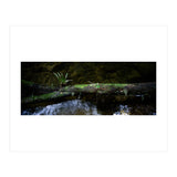 Nature #1 (Print Only) thumbnail