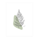 Fern (Print Only) thumbnail