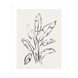 Banana Leafs Drawing (Print Only) thumbnail