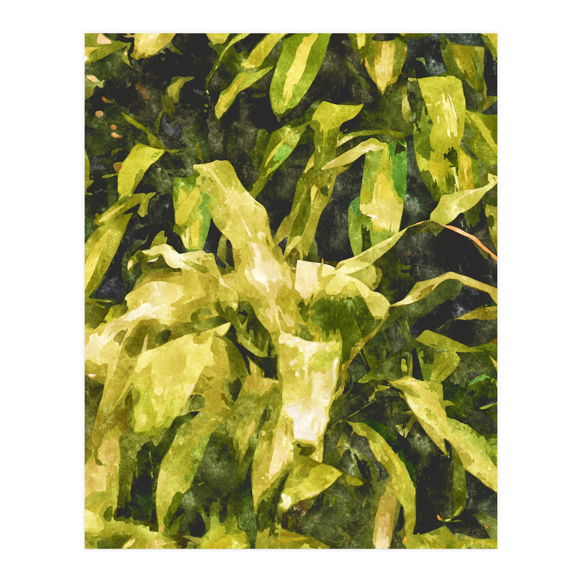 Green Nature (Print Only)