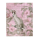 Jungle Cockatoo Pink (Print Only) thumbnail