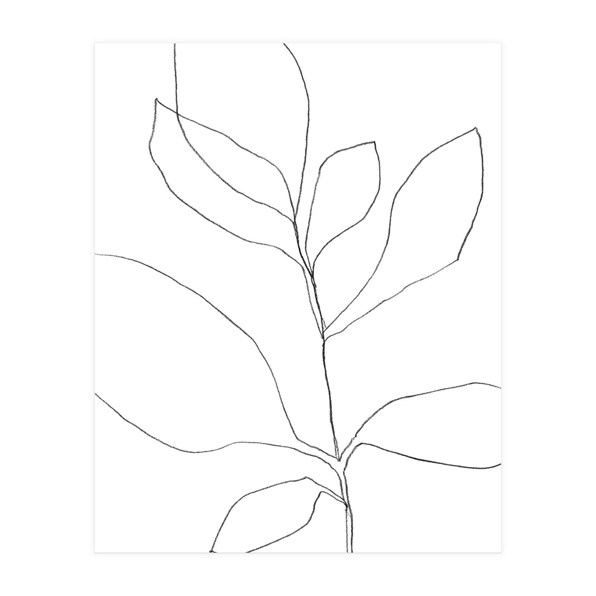 Seven Leaf Plant (Print Only)