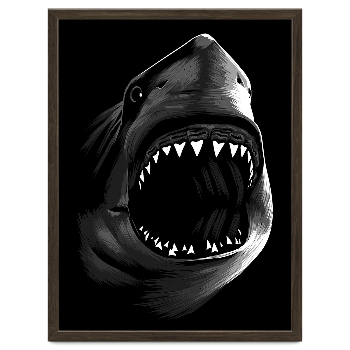 Megalodon