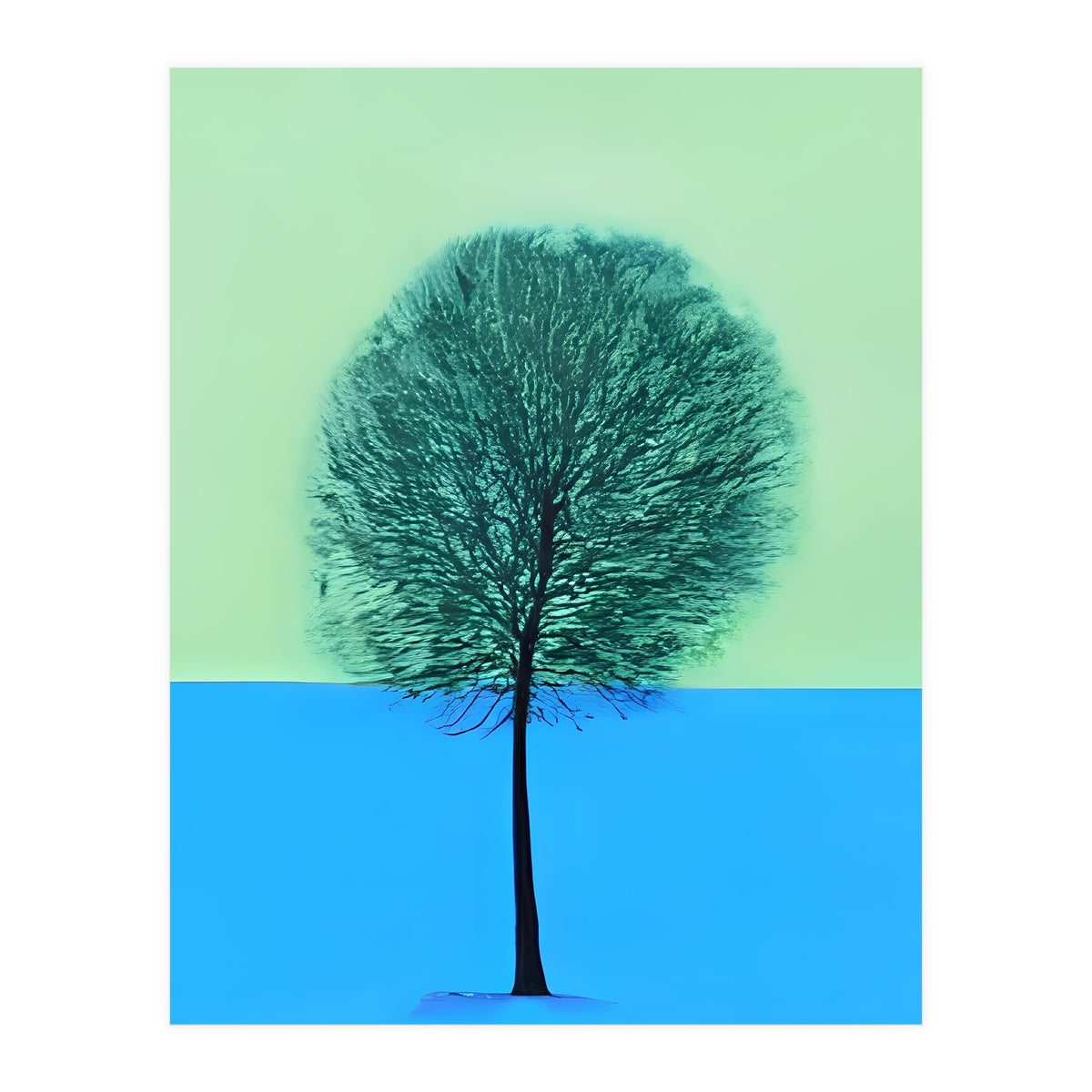 Tree in the snow  (Print Only)