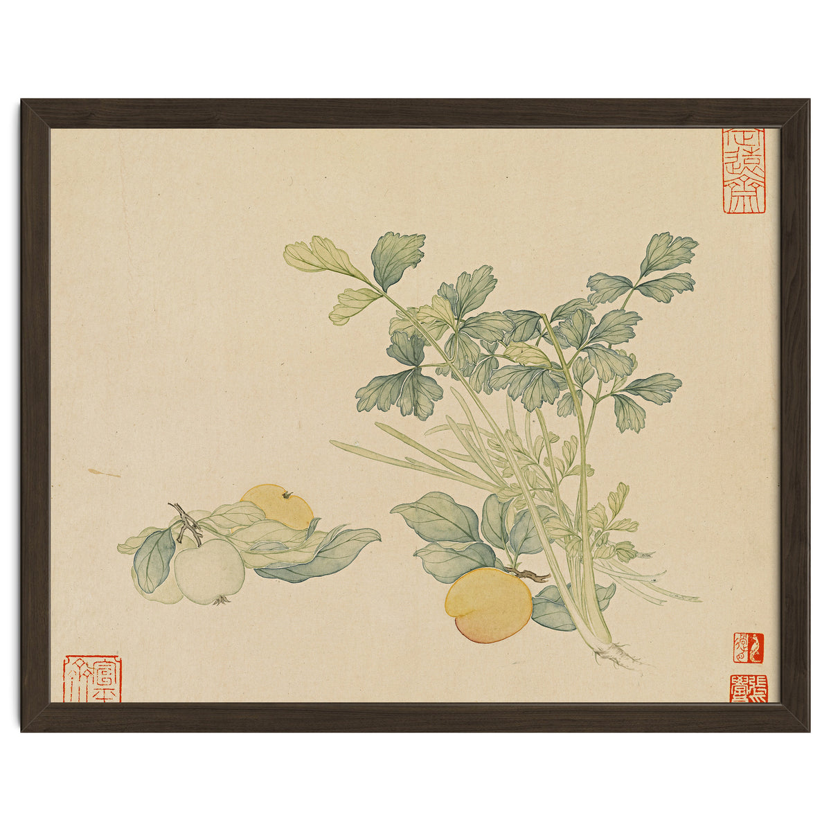 Wang Chengyu~flowers And Vegetables, Vegetables, Fruits, Plums, Apricots, Celery