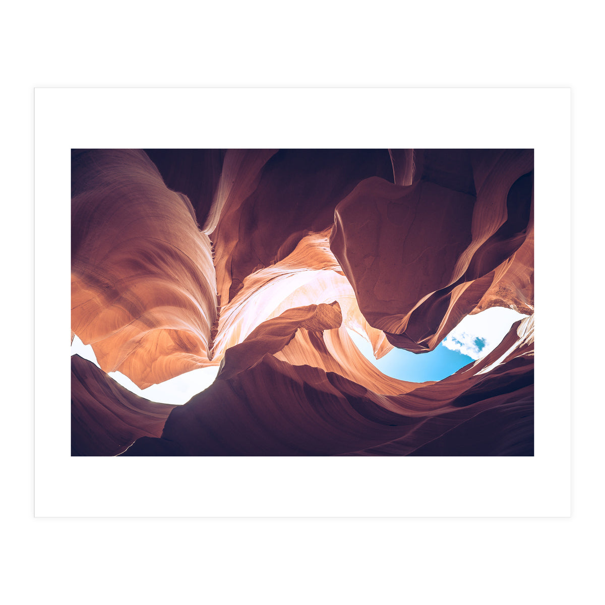 Twisted (Print Only)