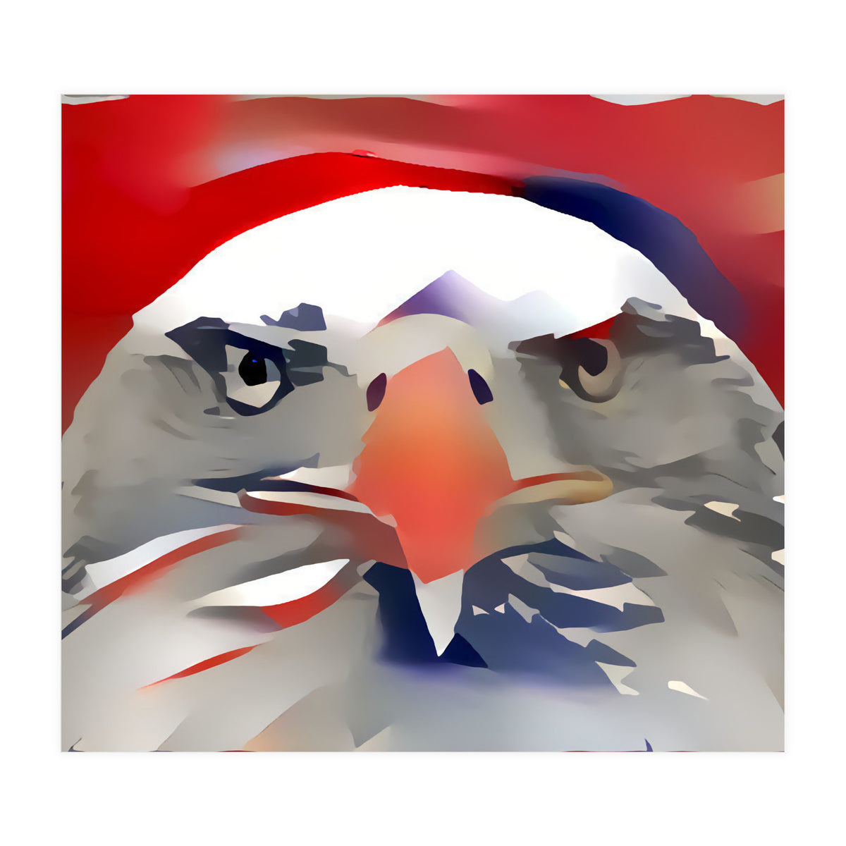 Bald Eagle (Print Only)