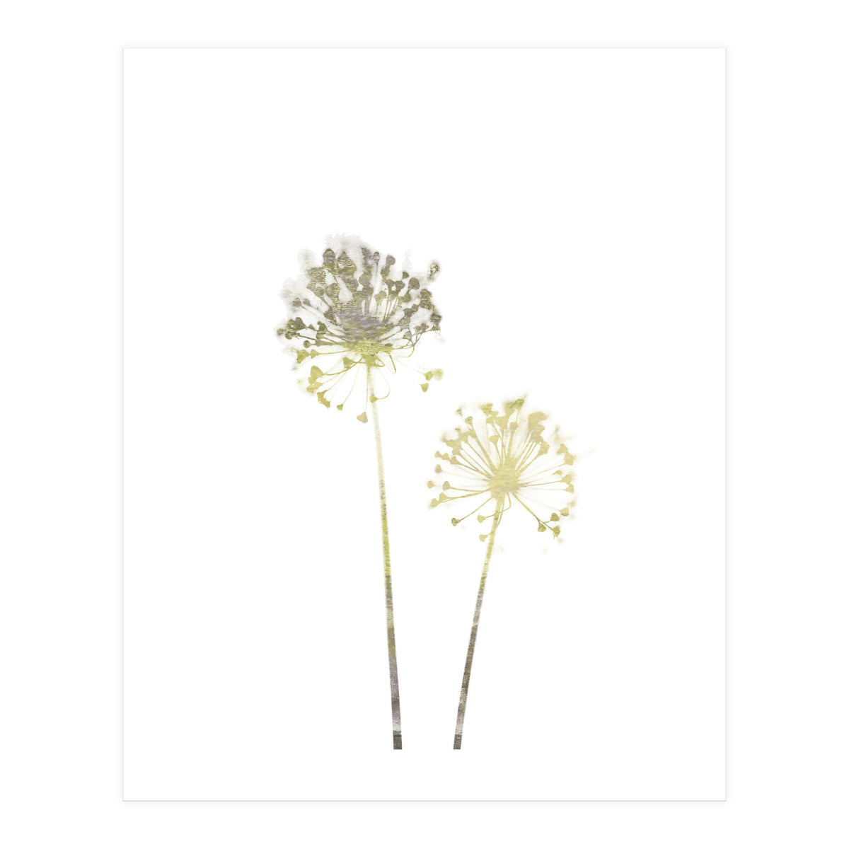 Neutral Dandelions (Print Only)
