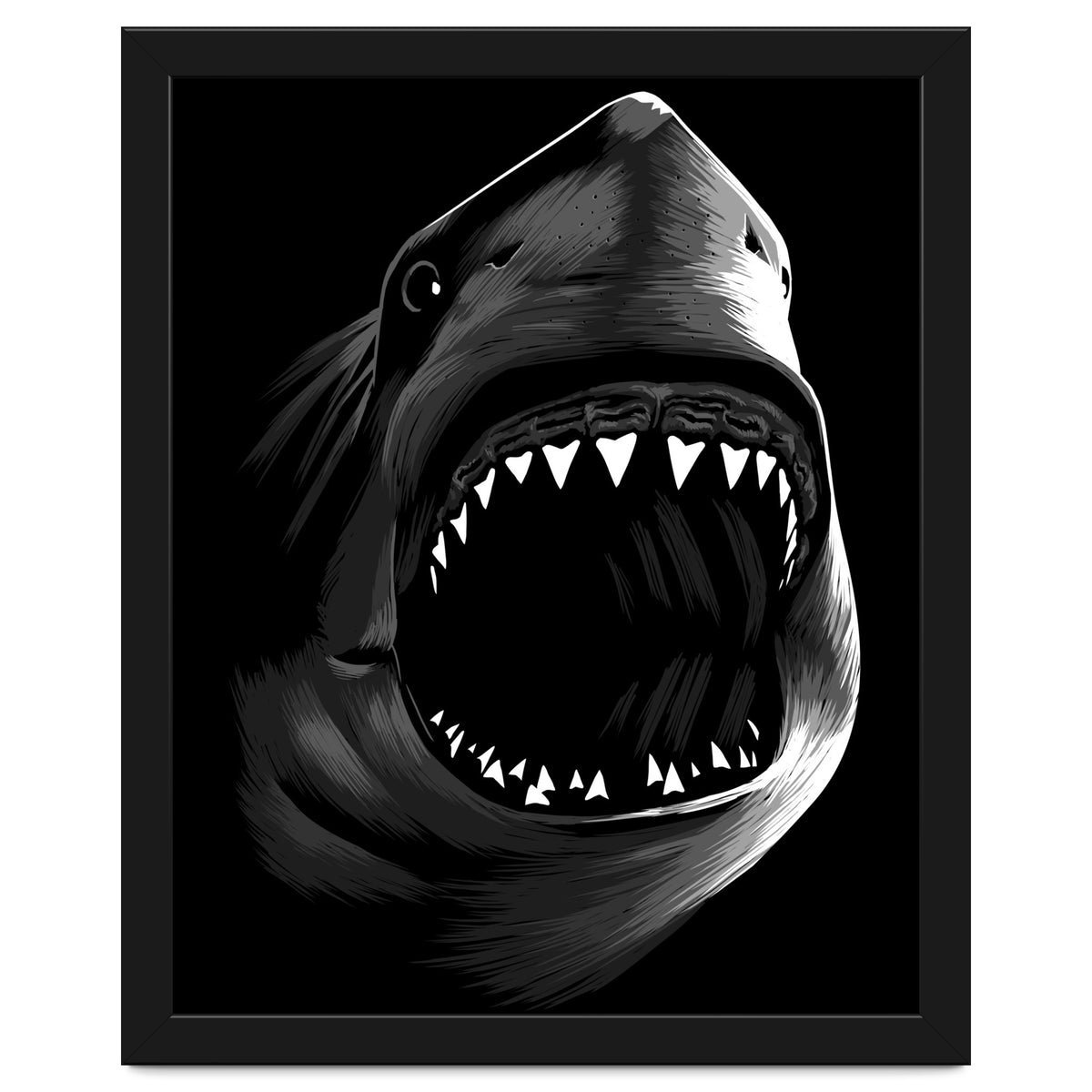 Megalodon