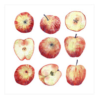 Apples (Print Only)