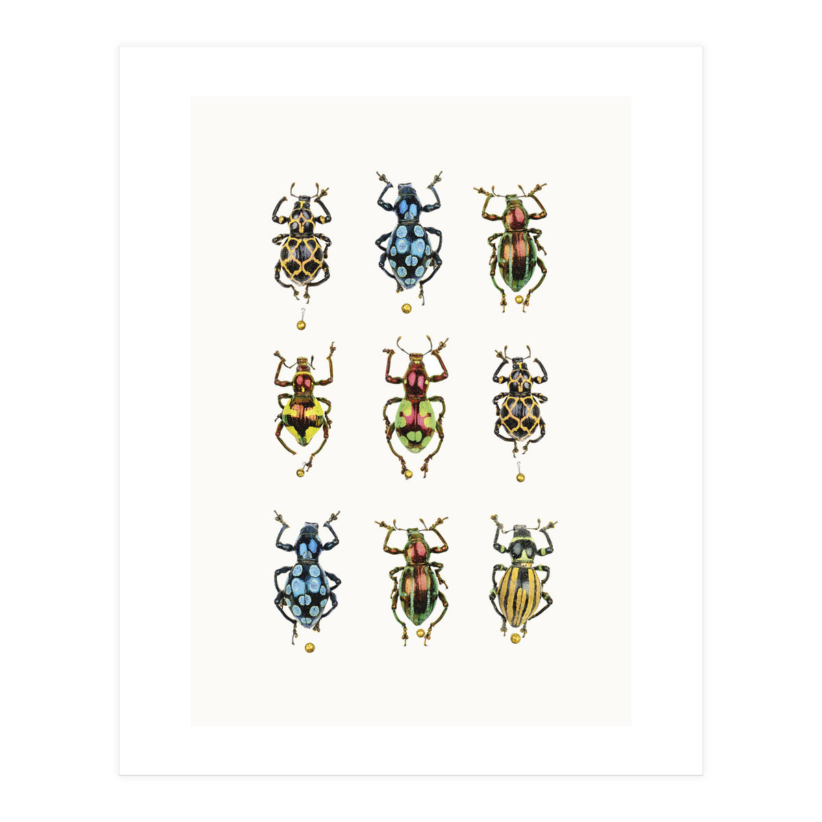 Cc Insects 05 (Print Only)