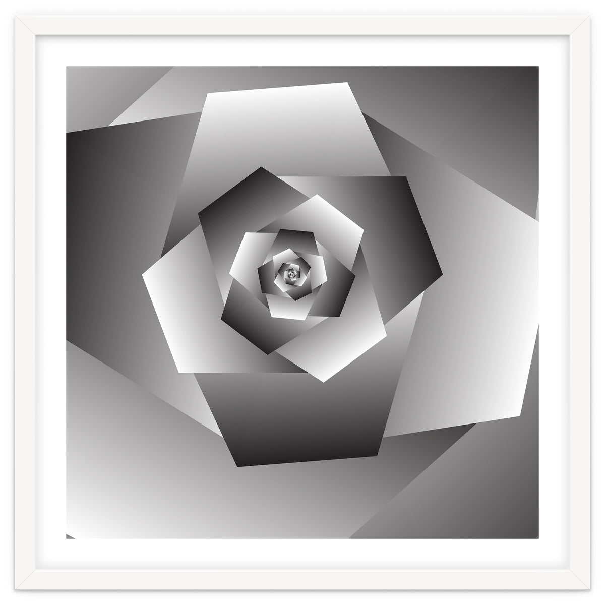 Monochrome Rose Spiral