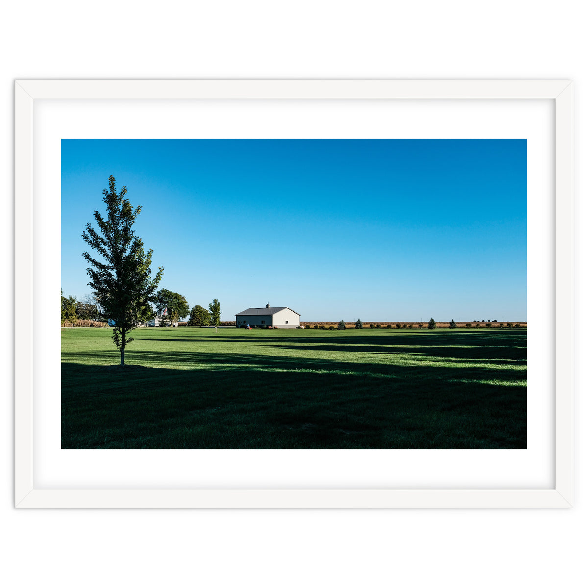 Summer evening, rural Illinois