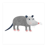 Possum (Print Only) thumbnail