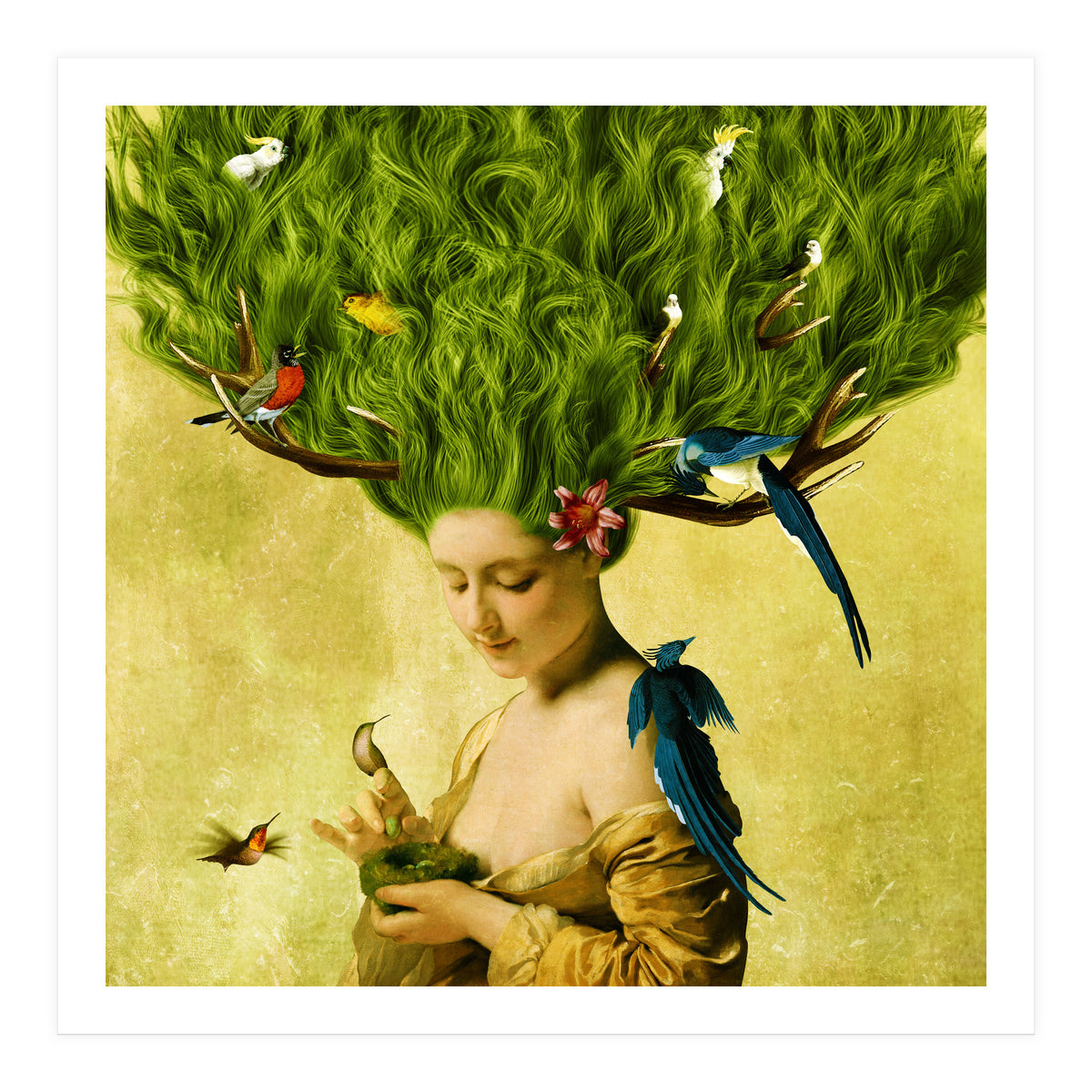 Safe Haven (Print Only)