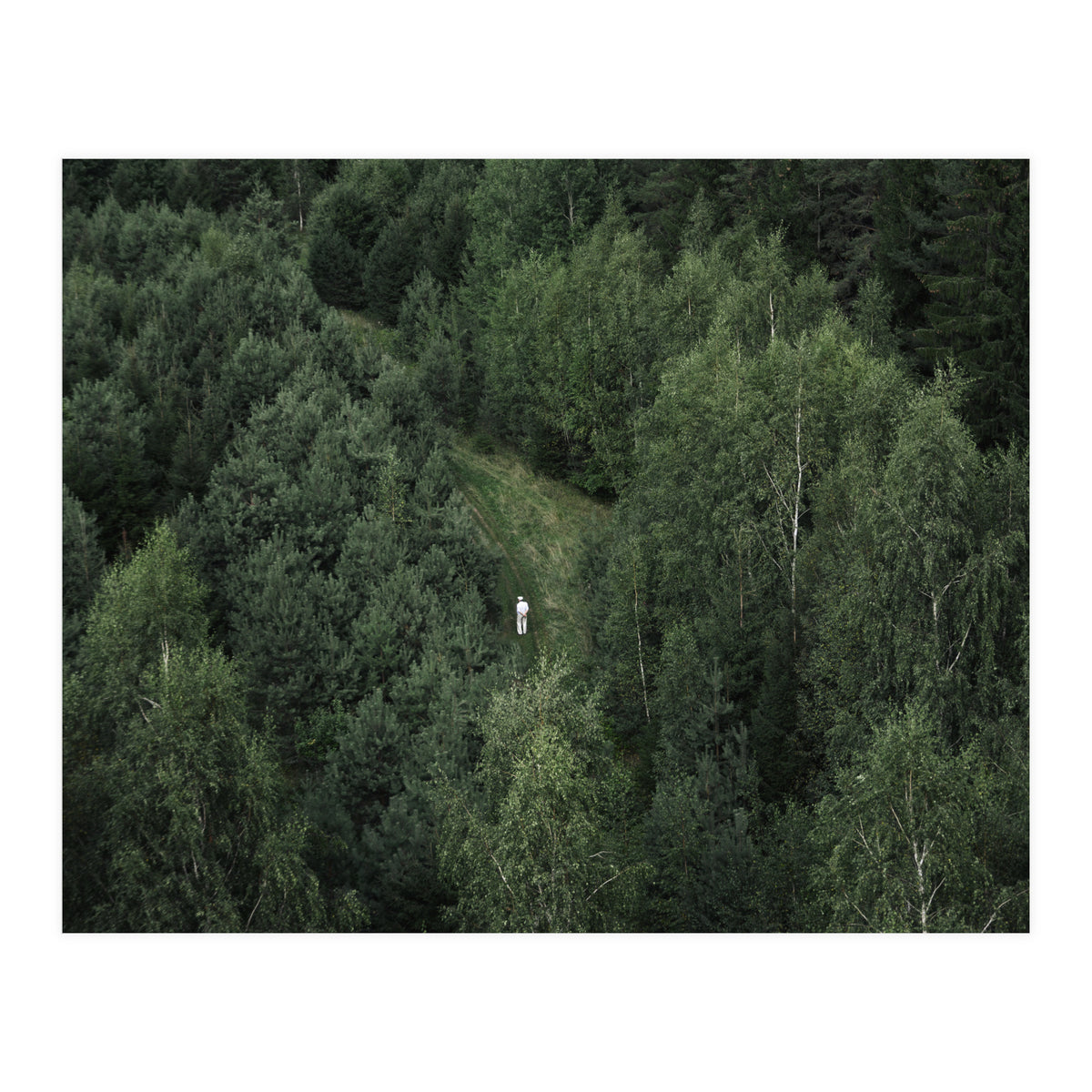 What's the Date Today? (Print Only)