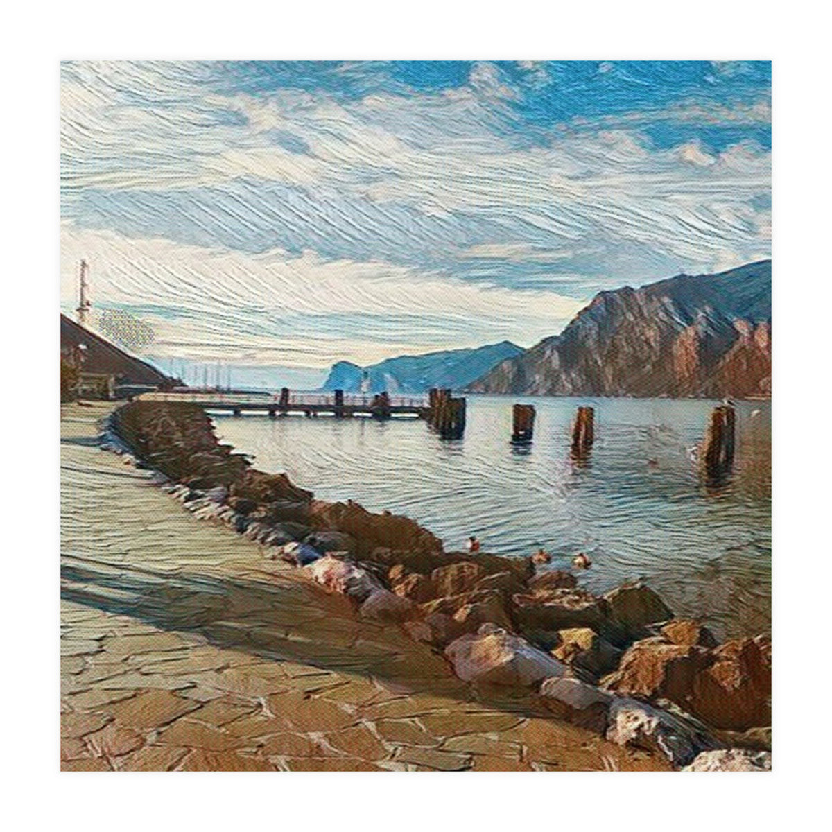 Ducks on Lake Garda, Italy. (Print Only)