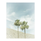 Palm Trees in the desert | Vintage (Print Only) thumbnail