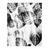 Raining Forest No6 (Print Only) thumbnail