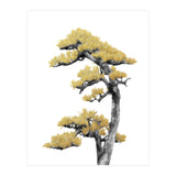 Bonsai Tree 04 (Print Only) thumbnail