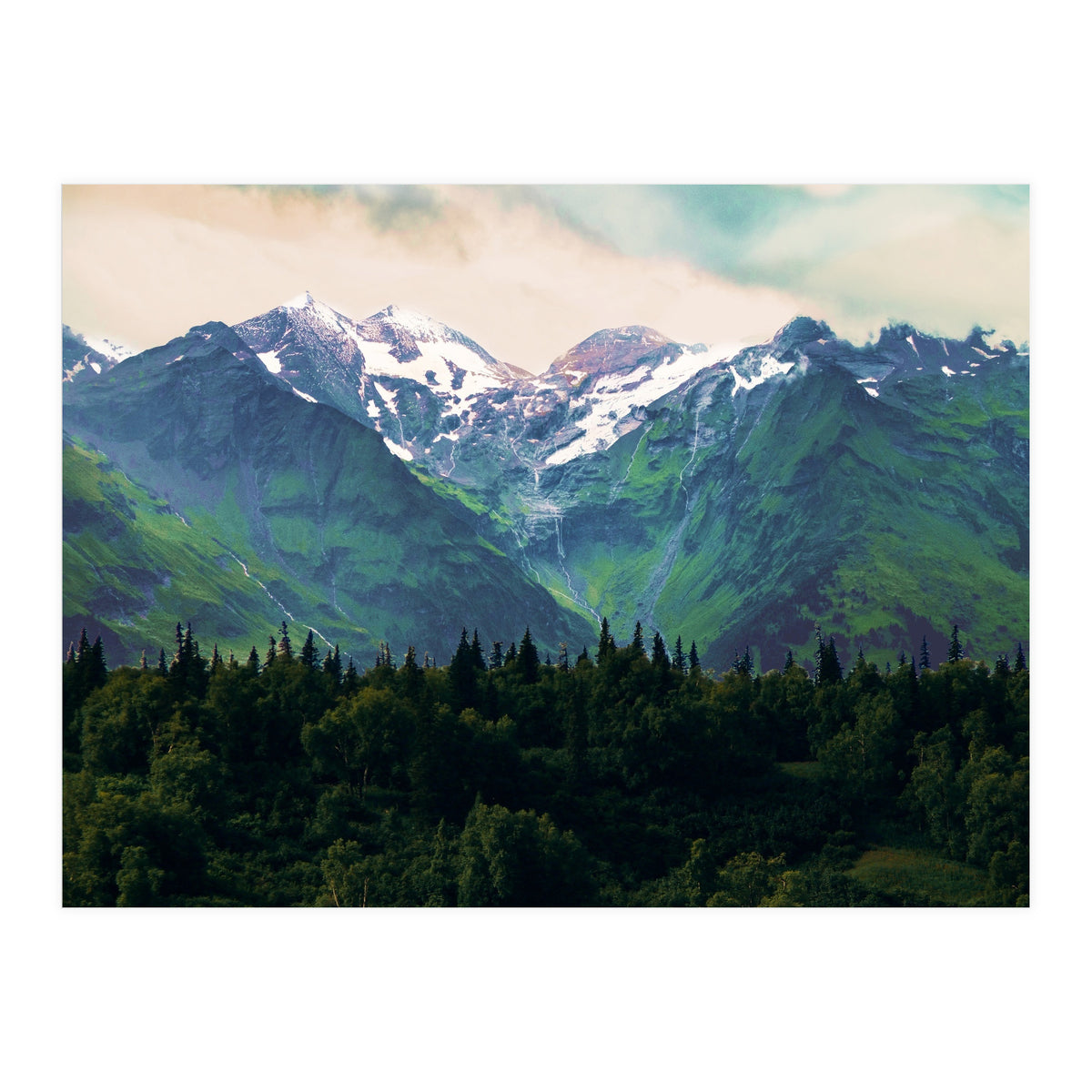 Escaping from woodland heights I (Print Only)