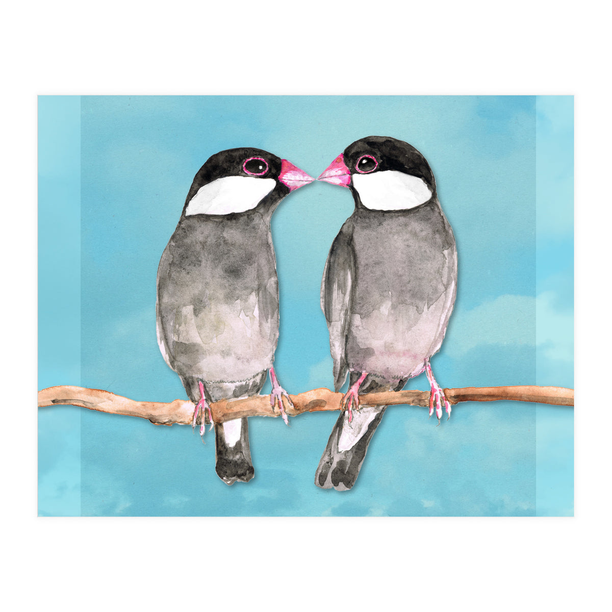 Two kissing Java sparrows (Print Only)