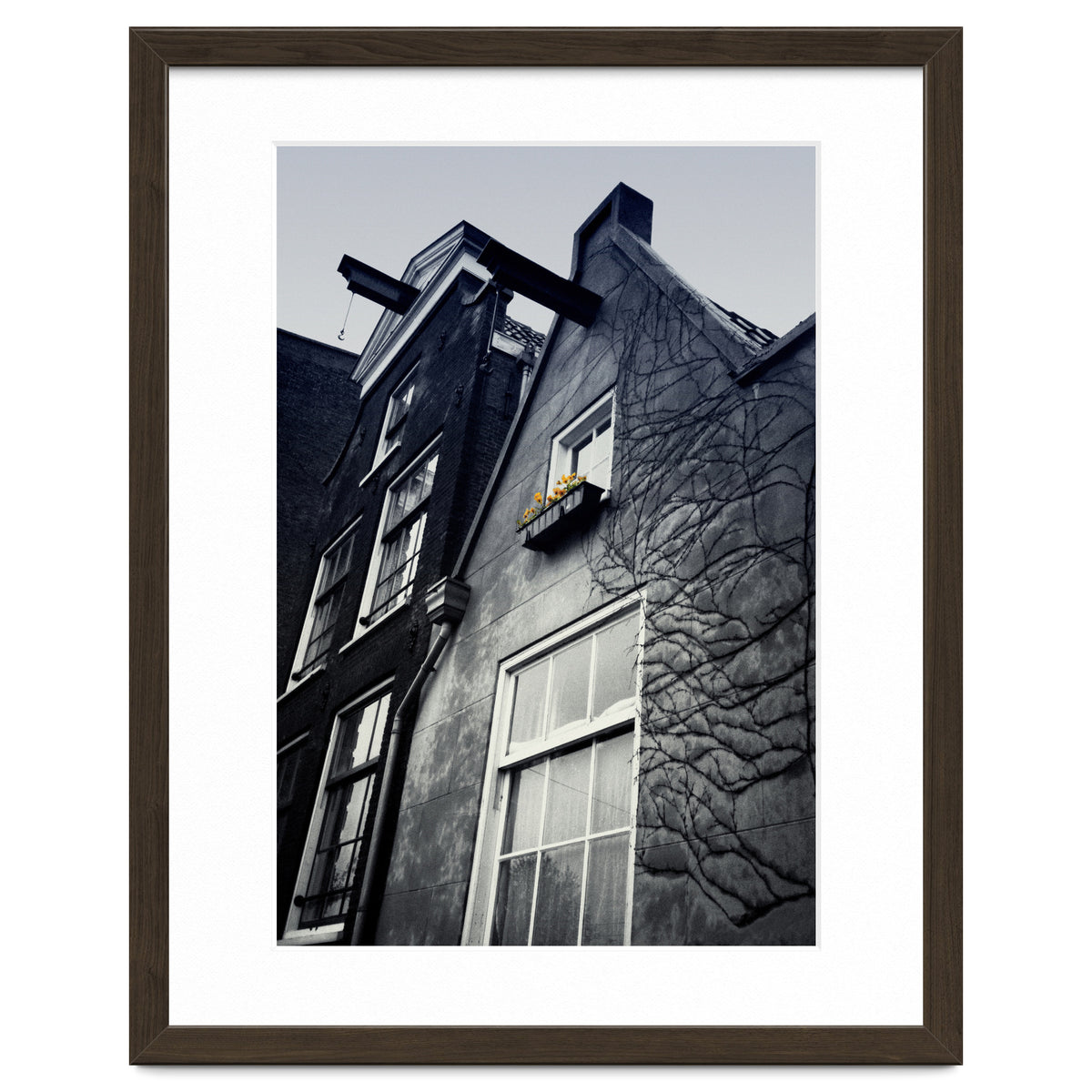 Amsterdam. House With Yellow Flowers.