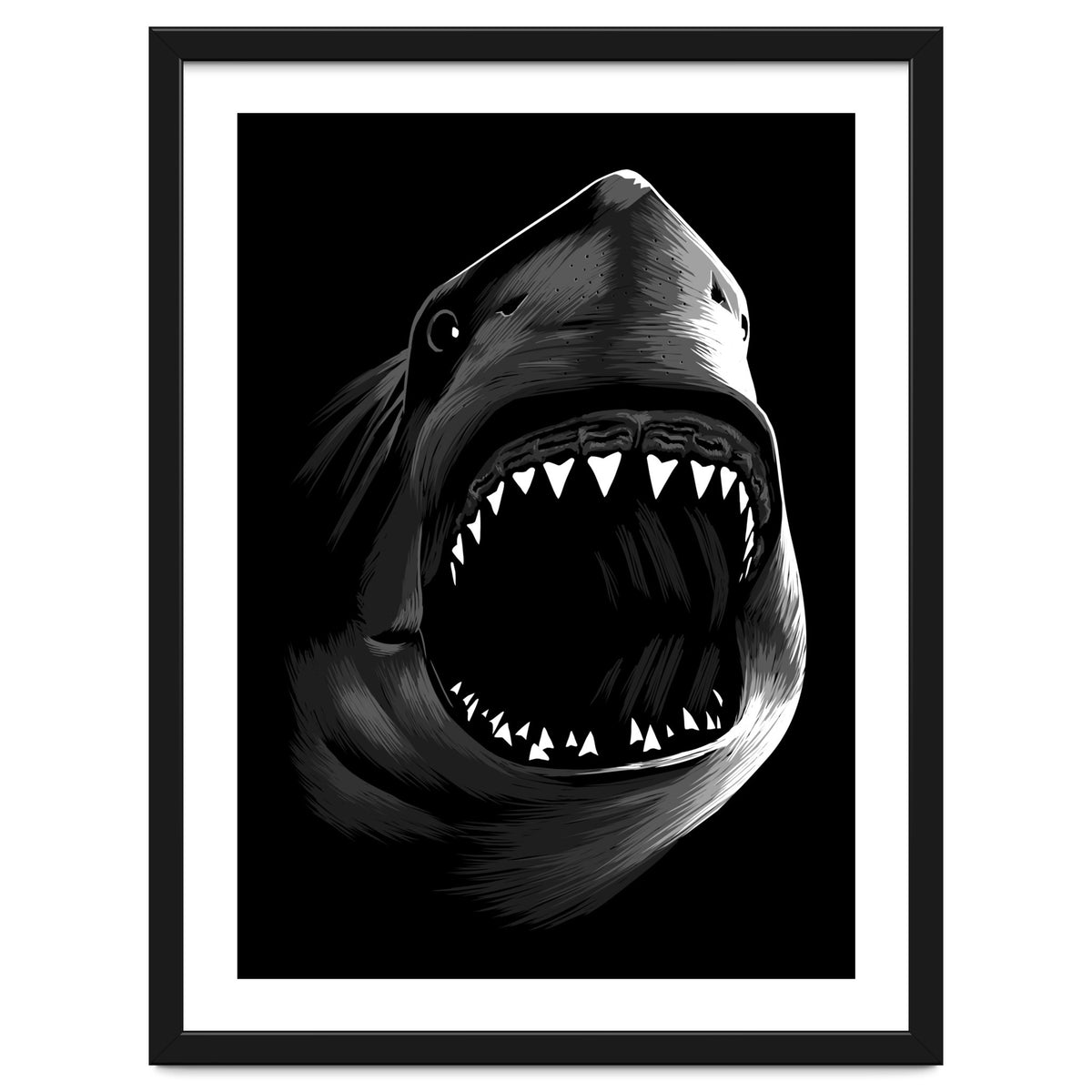 Megalodon