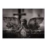 Winged Angel (Print Only) thumbnail