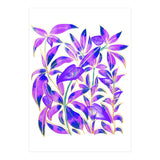 Ultraviolet Nature (Print Only) thumbnail