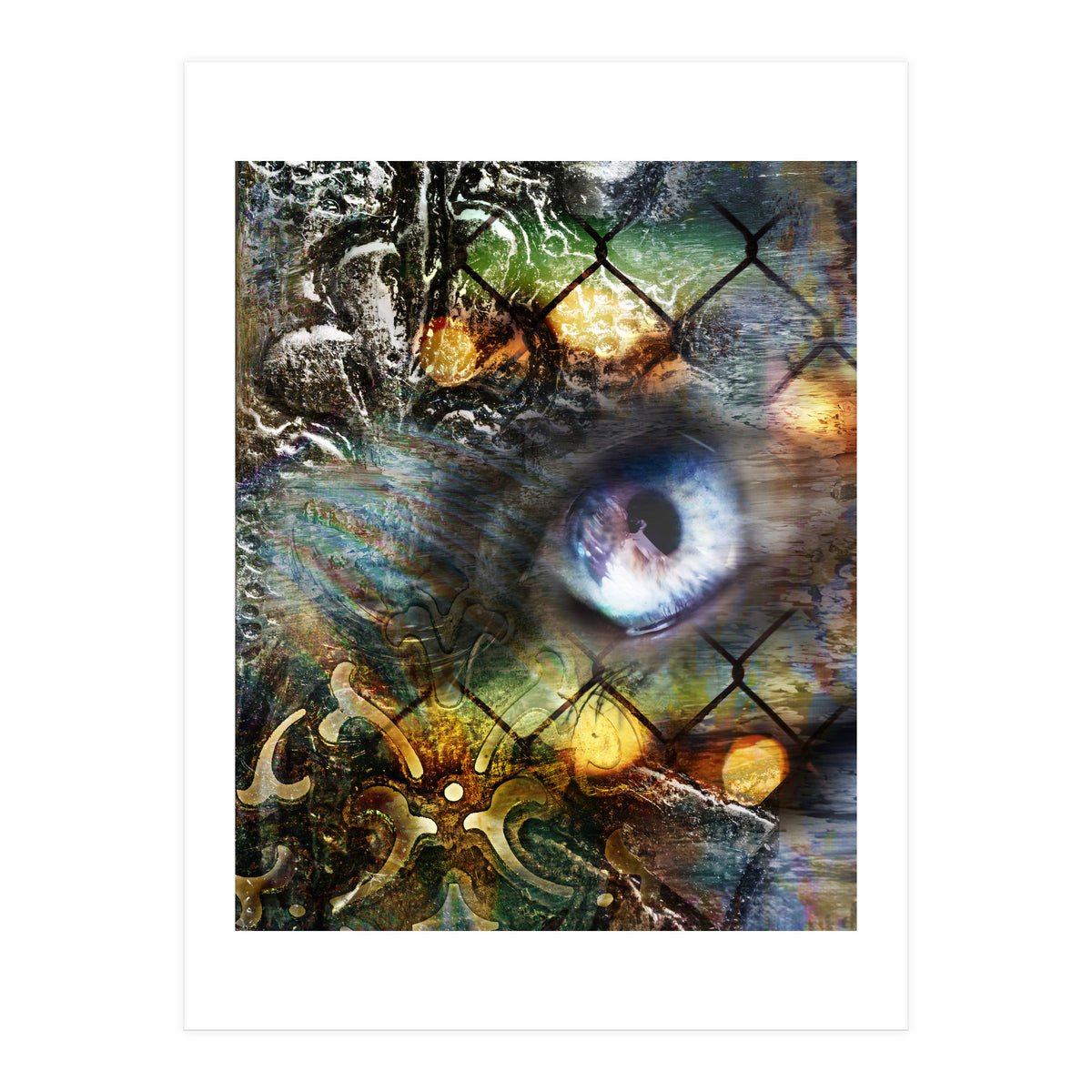 Perceptions (Print Only)