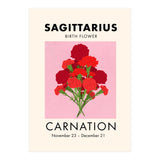 Sagittarius Birth Flower Carnation  (Print Only) thumbnail