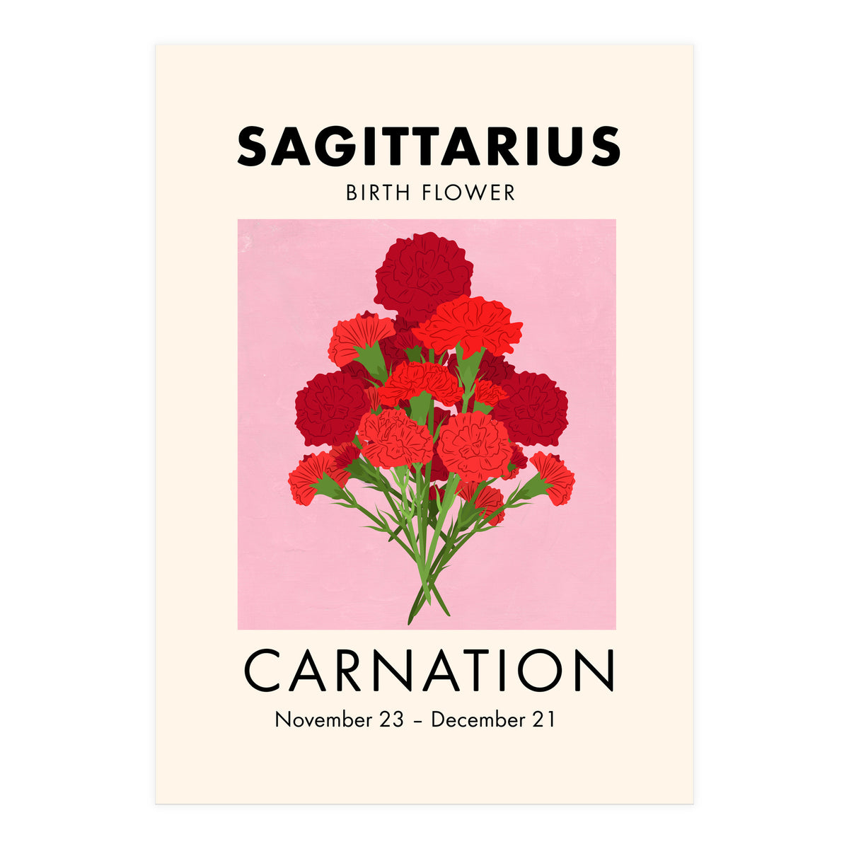 Sagittarius Birth Flower Carnation  (Print Only)
