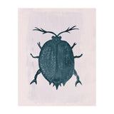 Beetle 2 (Print Only) thumbnail