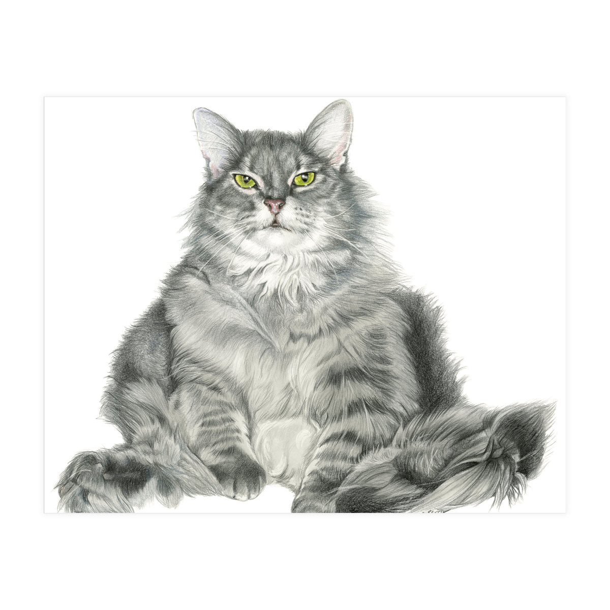 Fatcatred (Print Only)