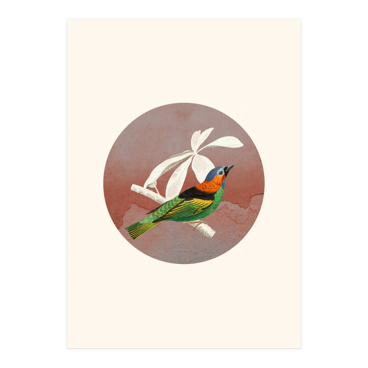 Bird Collage II (Print Only)