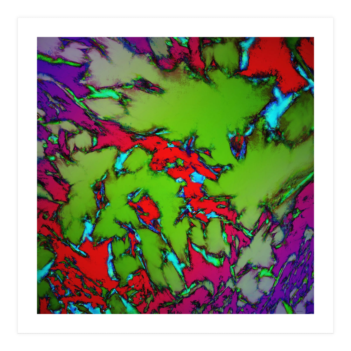 Enclosed Gardens (Print Only)