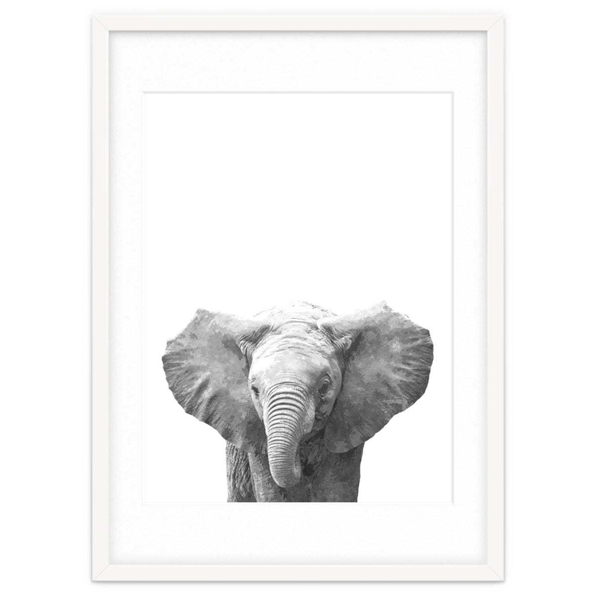 Black and White Baby Elephant
