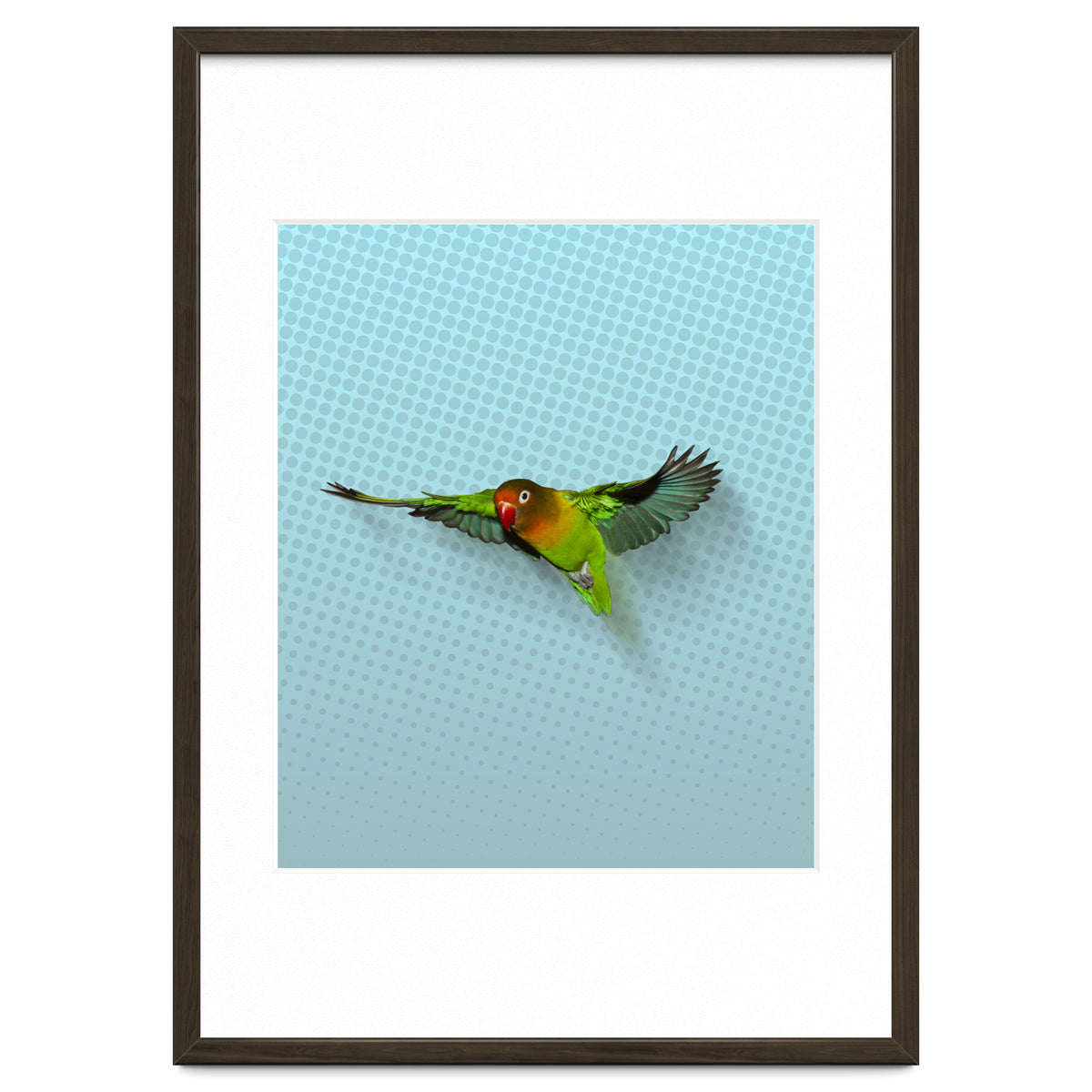 Flying lovebird