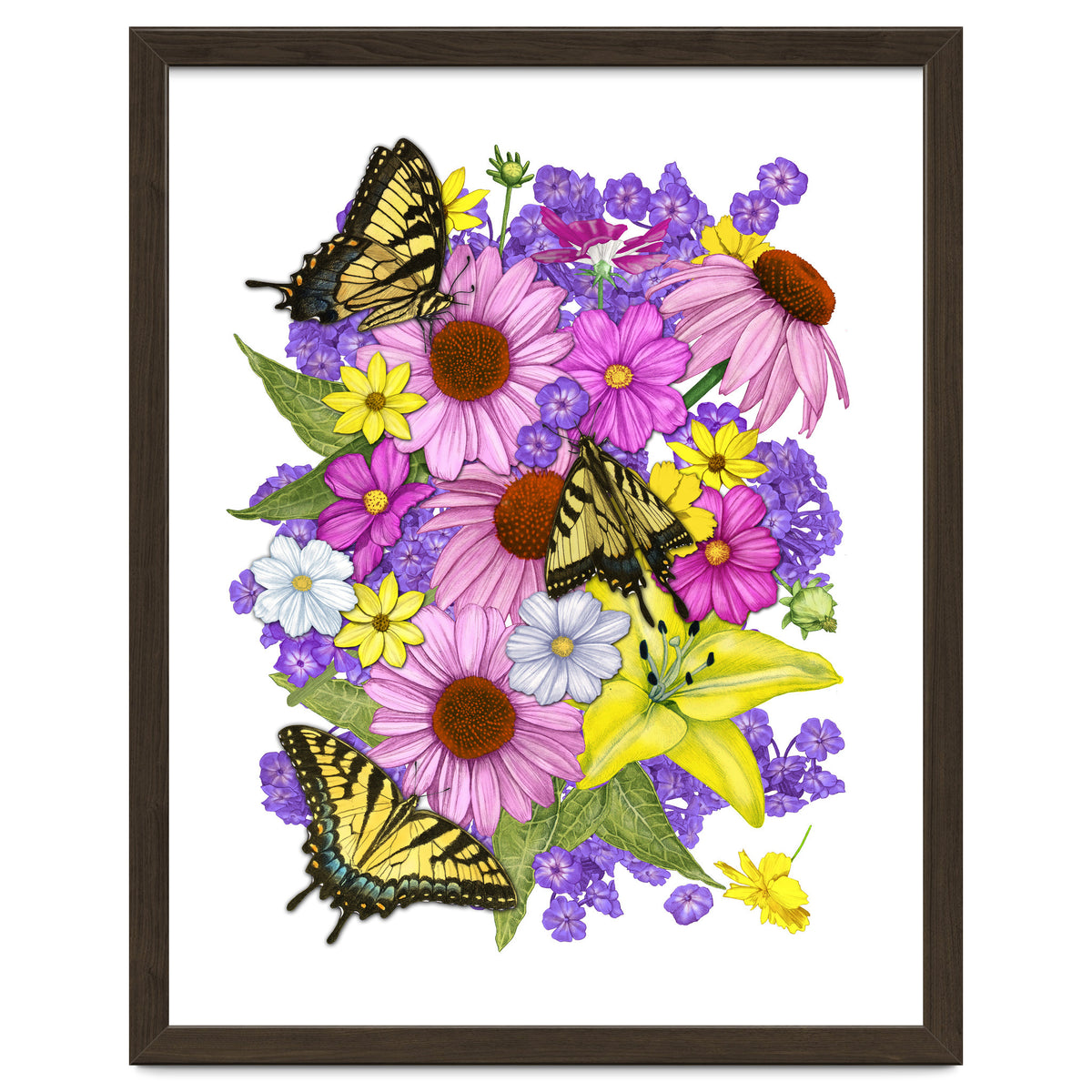 Corn Flowers and Swallowtails