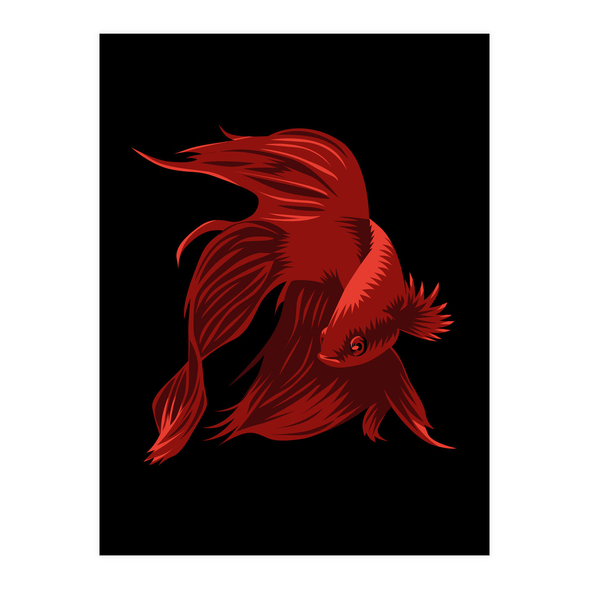Betta (Print Only)
