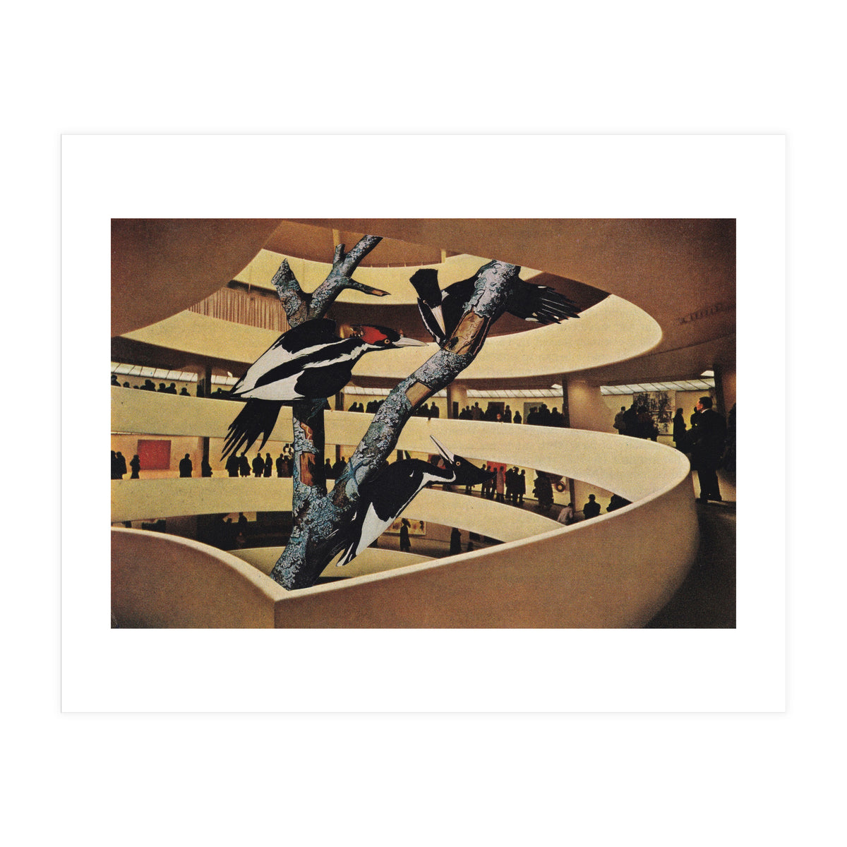 Art Museum (Print Only)