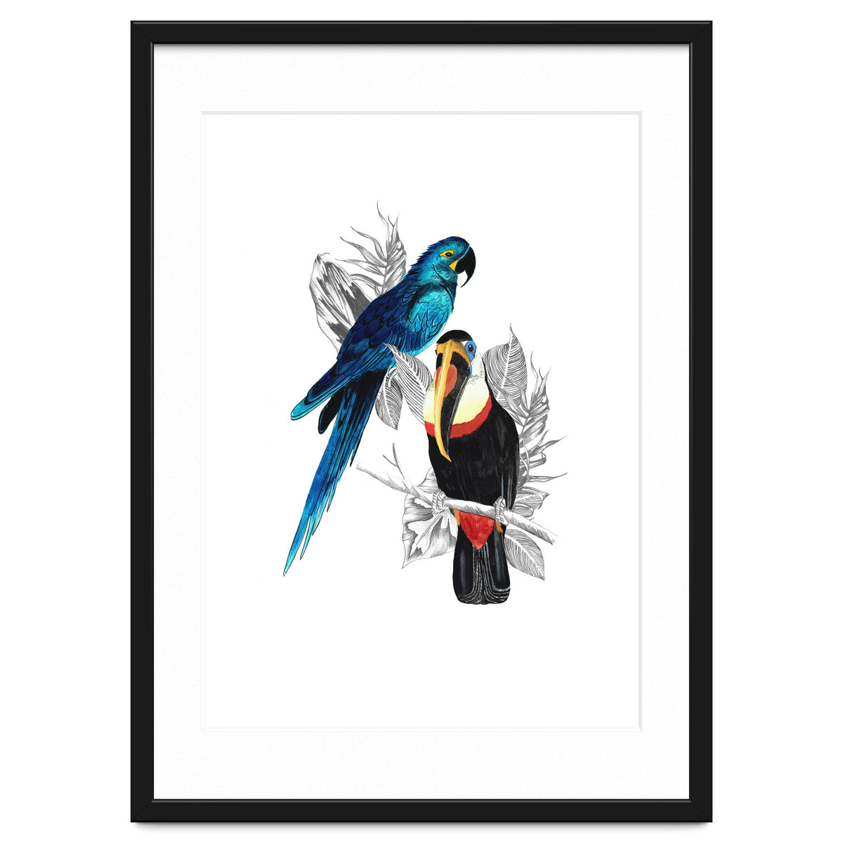 The Toucan and the Parrot