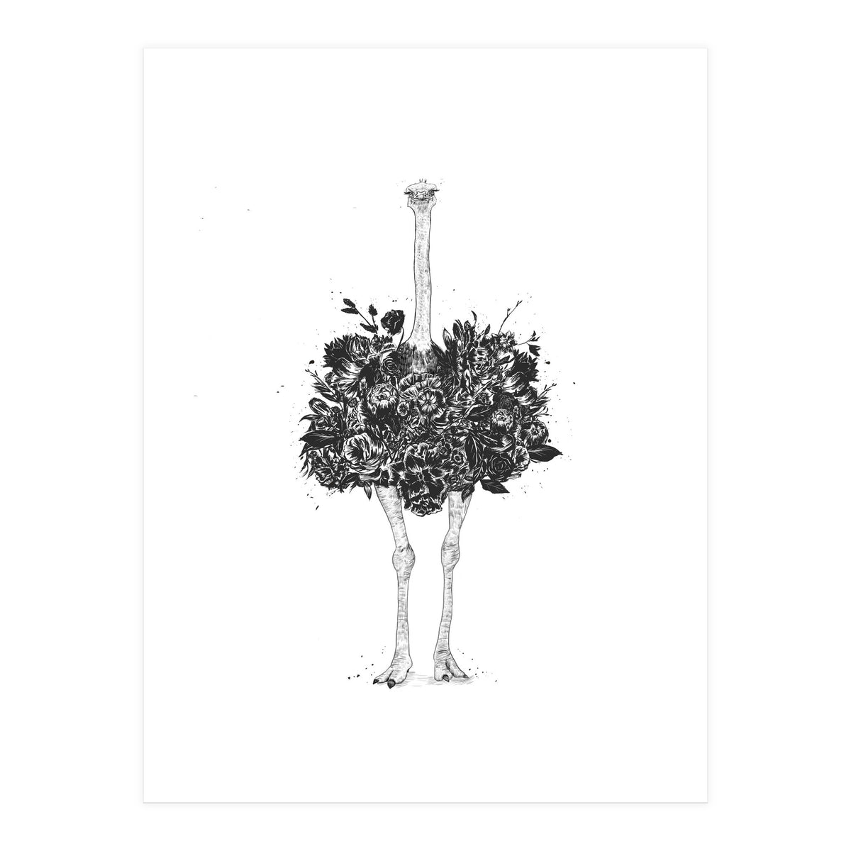 Floral Ostrich (Print Only)