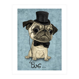 Pug, Gentle Pug (Print Only) thumbnail