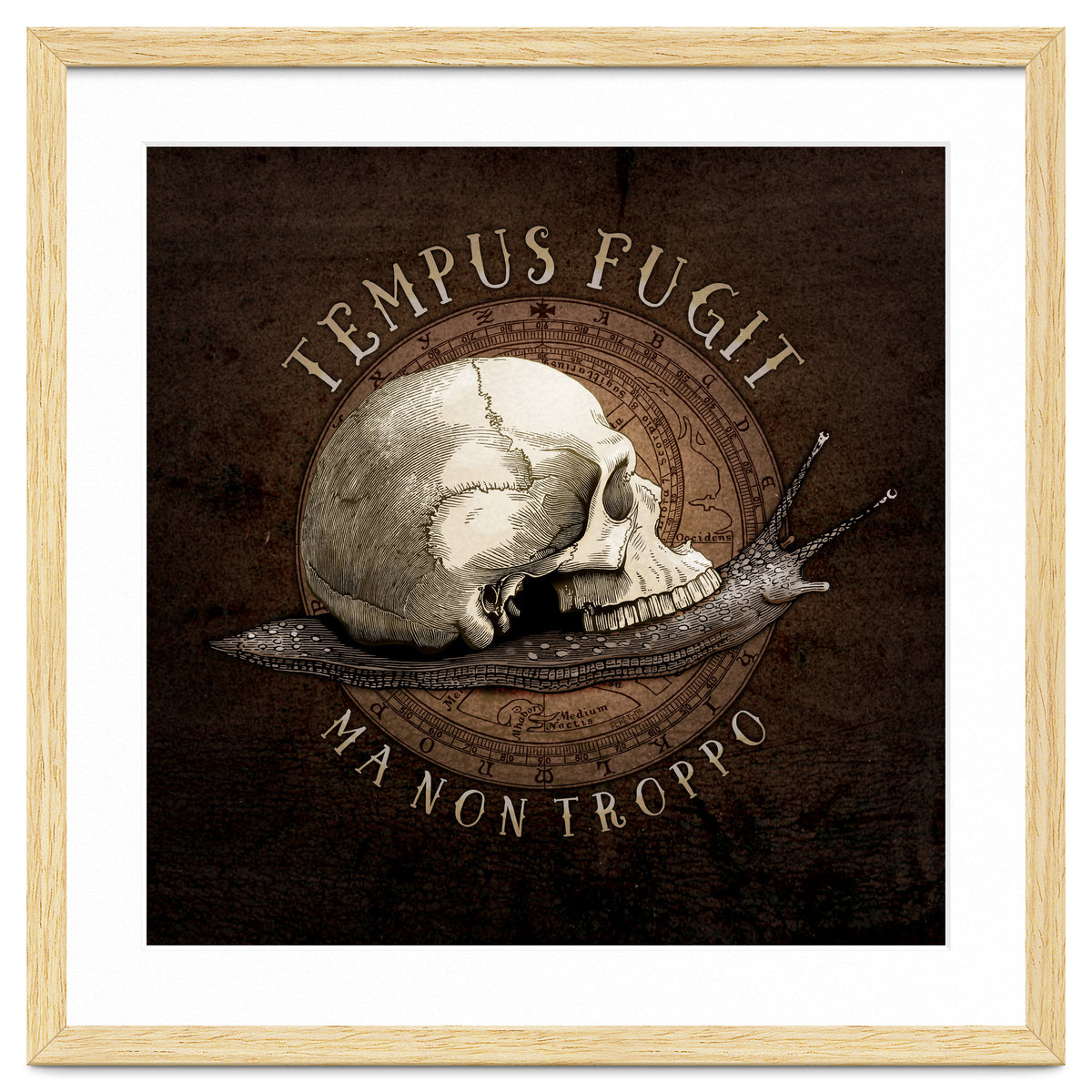 Tempus Fugit (ma non troppo)
