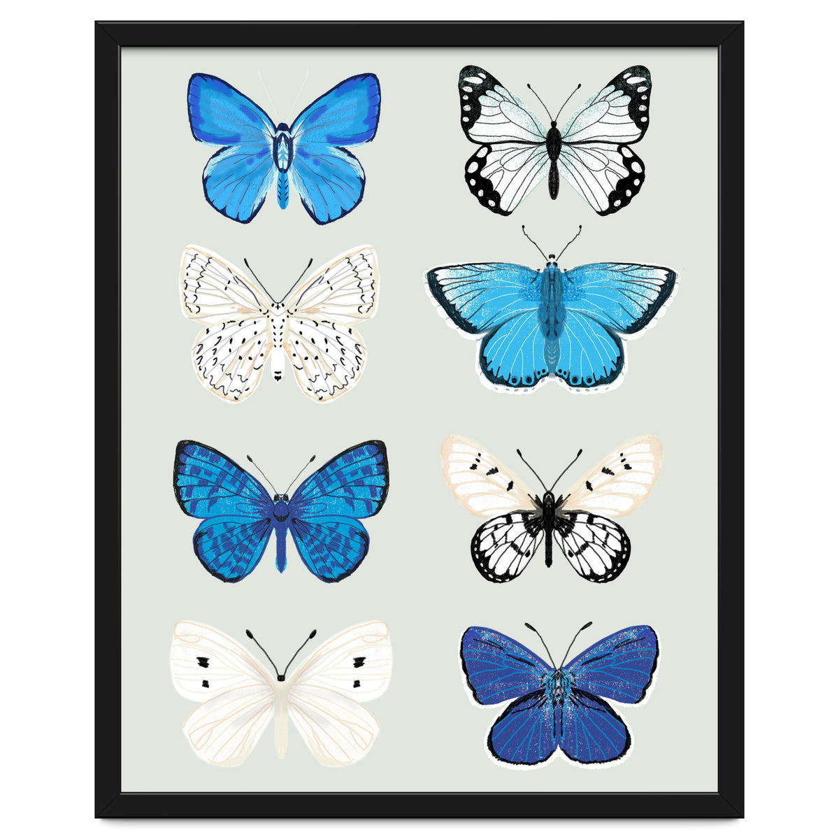 Lepidoptery Study No. 3