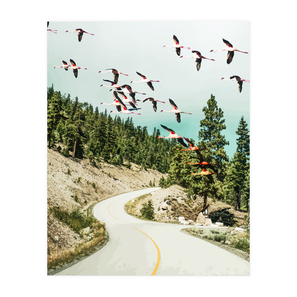 Flamingo Flight (Print Only)