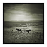 Gillen (Print Only) thumbnail