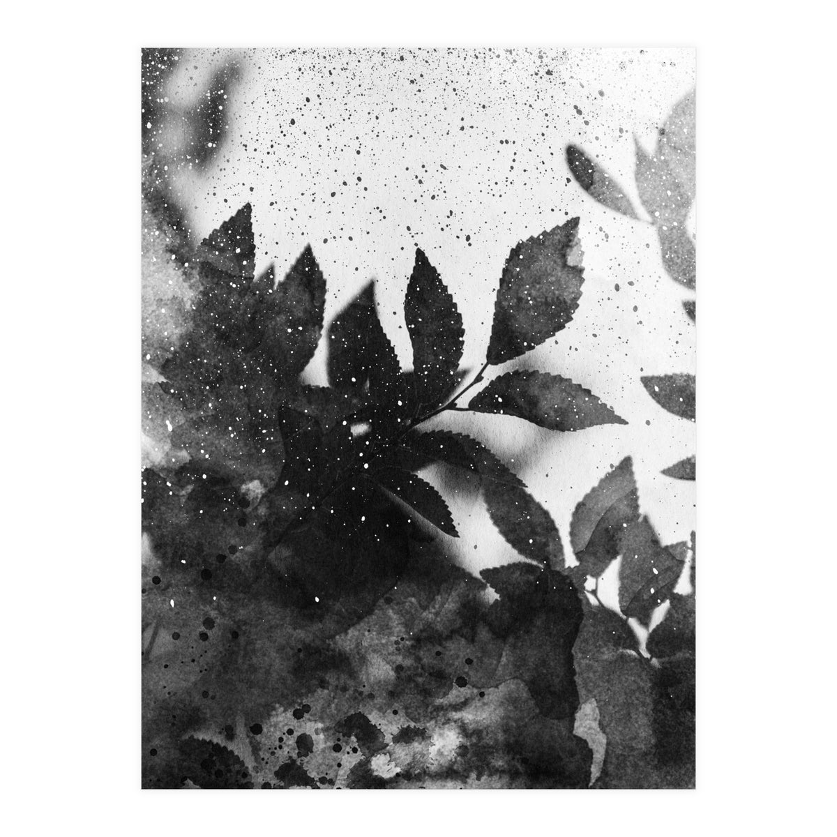 Leaves #1 (Print Only)